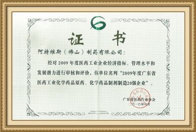 2009廣東省制造20強(qiáng)企業(yè)